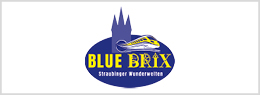BlueBrix BlueBrix