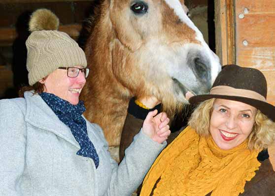 Nicola Förg – Flüsternde Wälder, Colibri Literaturfestival Straubing 2020
